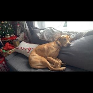 Meet your Posher, Caitlin